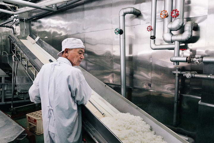 A factory employee leading rice down a conveyer belt.