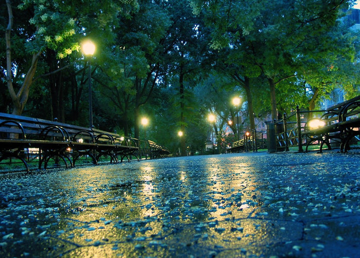 Dawn in Central Park as the night lights turn on; downpour.