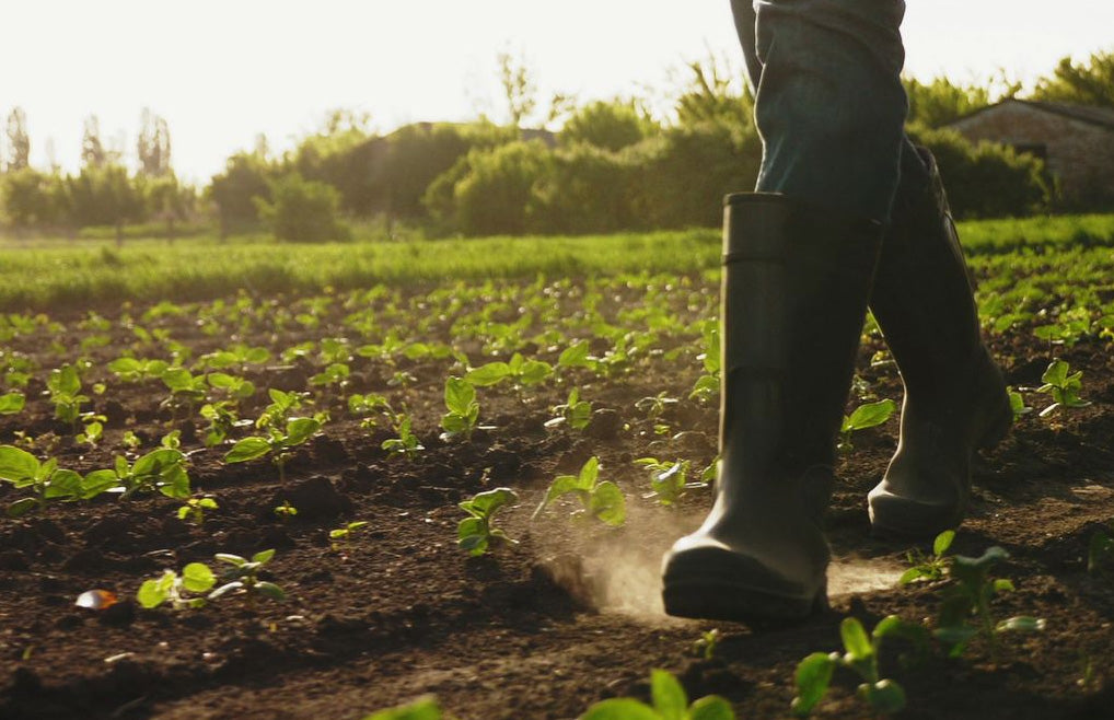 Farm Science Lab Boot Top Boots for Farming, Ranching & Muck | Durable & Comfortable ...