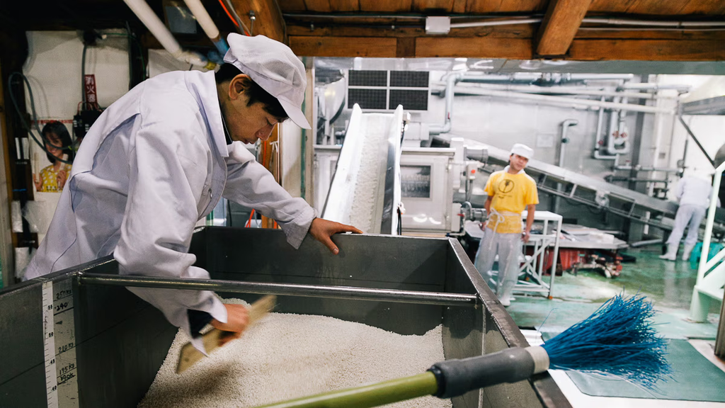 A factory worker scooping rice.