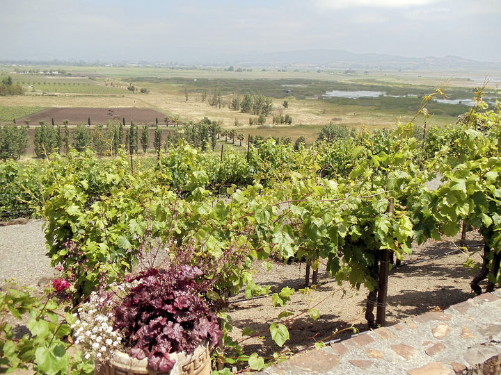 A vast grassland with a winery gracing it.